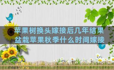 苹果树换头嫁接后几年结果 盆栽苹果秋季什么时间嫁接